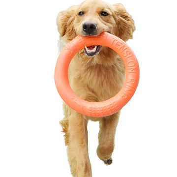 Hond kauwschijf speelgoed