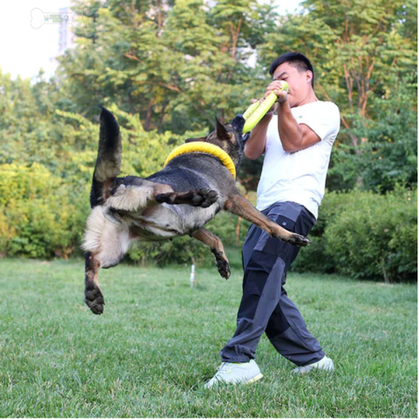 Hond kauwschijf speelgoed