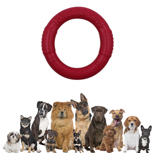 Hond kauwschijf speelgoed
