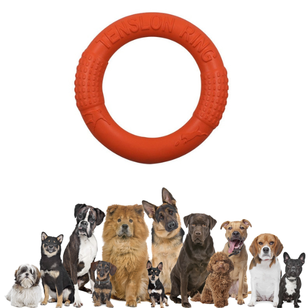 Hond kauwschijf speelgoed