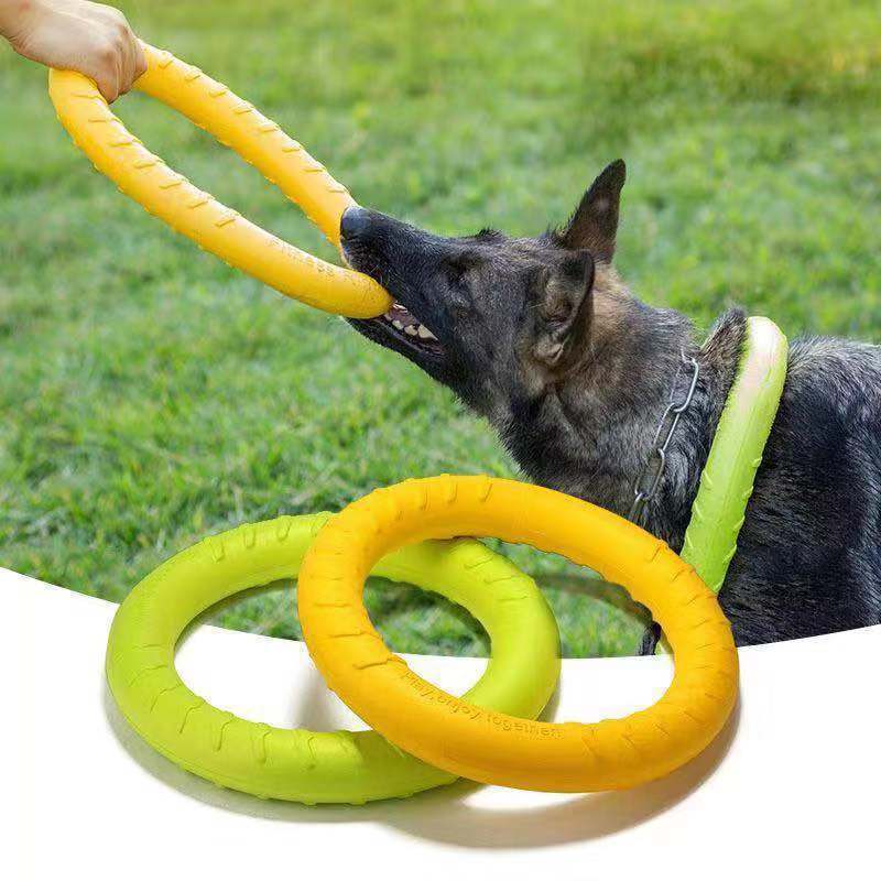 Hond kauwschijf speelgoed