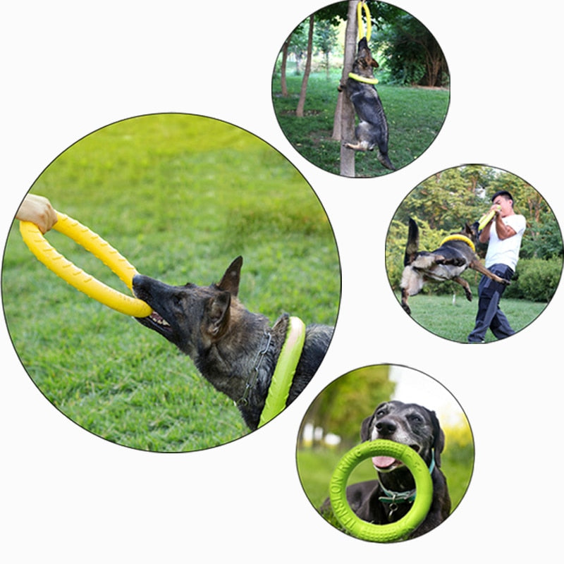 Hond kauwschijf speelgoed
