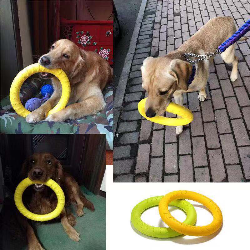 Hond kauwschijf speelgoed